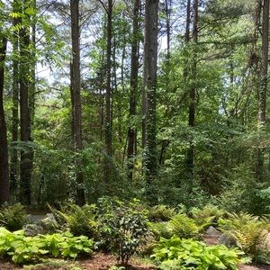 Meet your Posher, Hailey